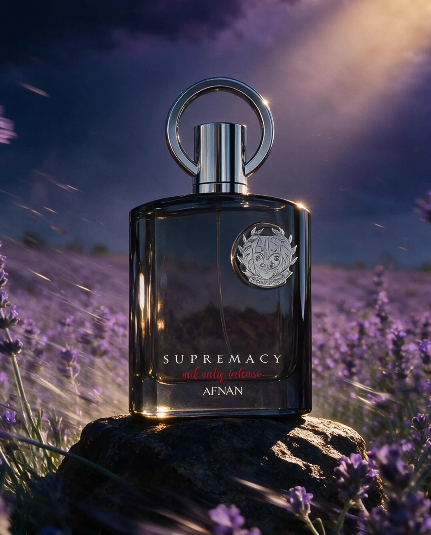 Lavender at dusk